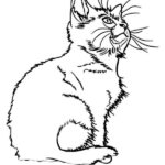 dibujos de un gato para colorear