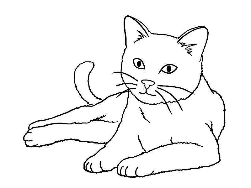 dibujos para colorear de gatos