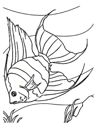 dibujo pez