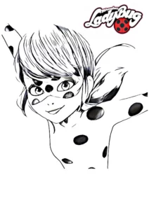 dibujo de ladybug