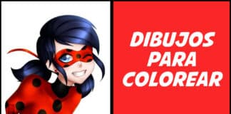 Ladybug para colorear : Dibujos para imprimir (PDF) ladybug para colorear