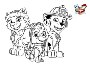 patrulla canina skye dibujo