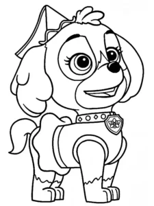 skye patrulla canina dibujo
