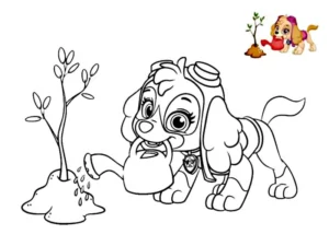 skye patrulla canina para colorear